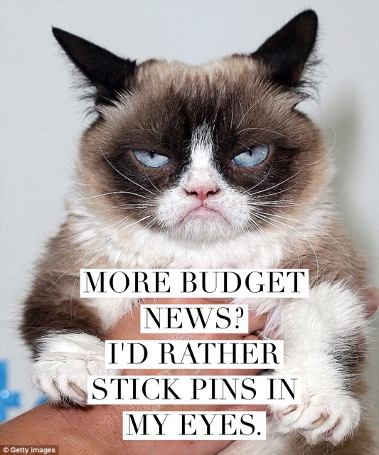 Grouchy Cat Budget pic